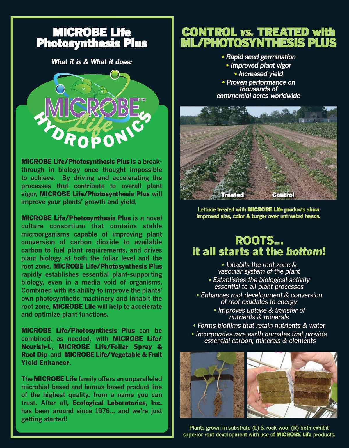Photosynthesis Plus Pint P548