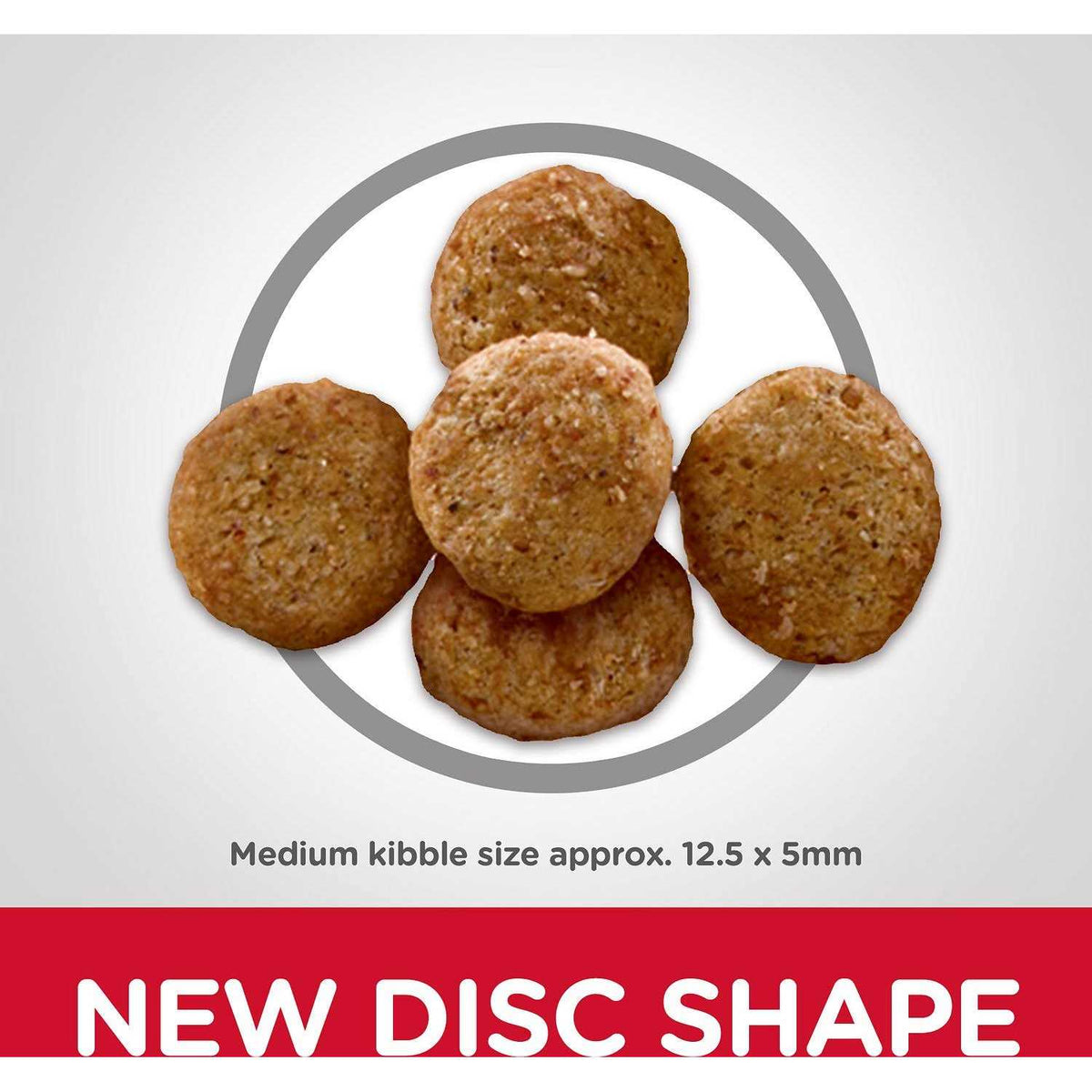 Adult Light Chicken Meal & Barley Dry Dog Food J956