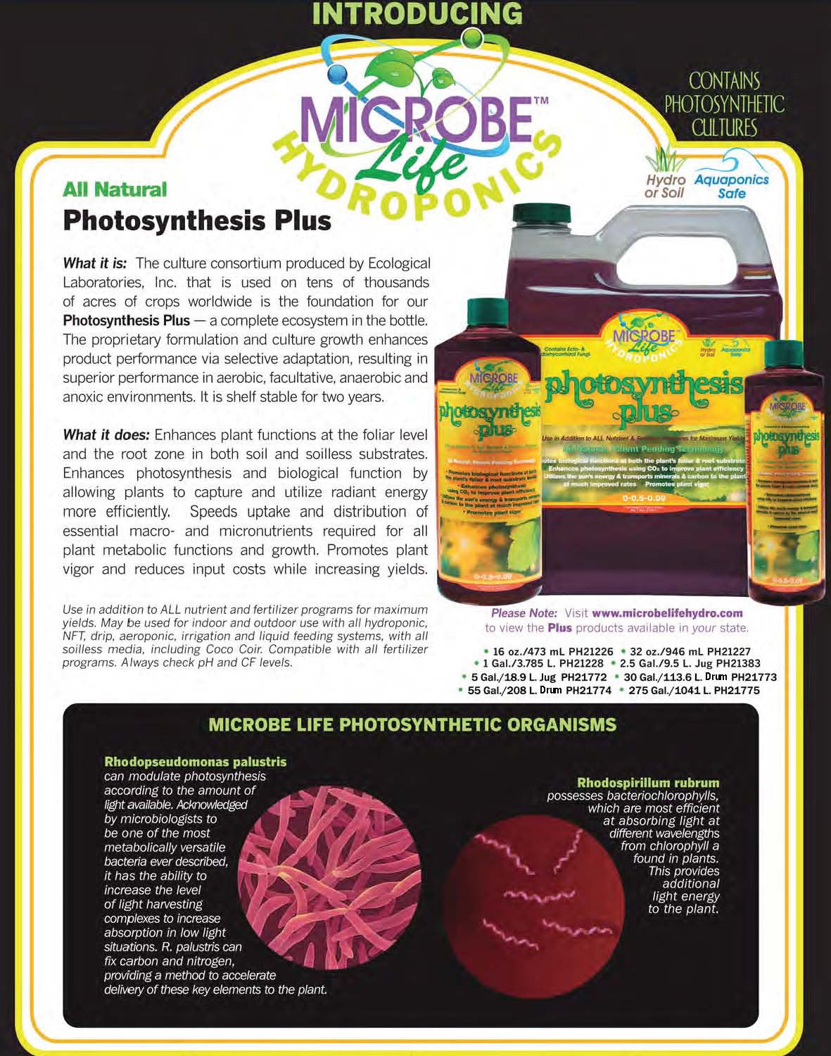 Photosynthesis Plus Pint P548