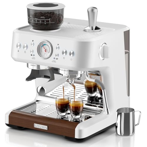 Stainless Steel Dual-Boiler Espresso Machine with Grinder J1129