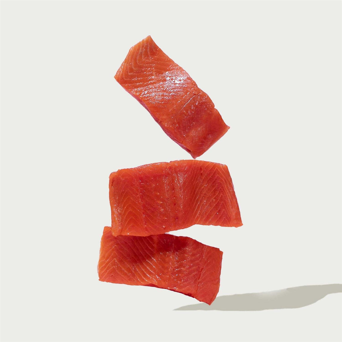 Salmon Brown Rice & Sweet Potato Dry Dog Food E654
