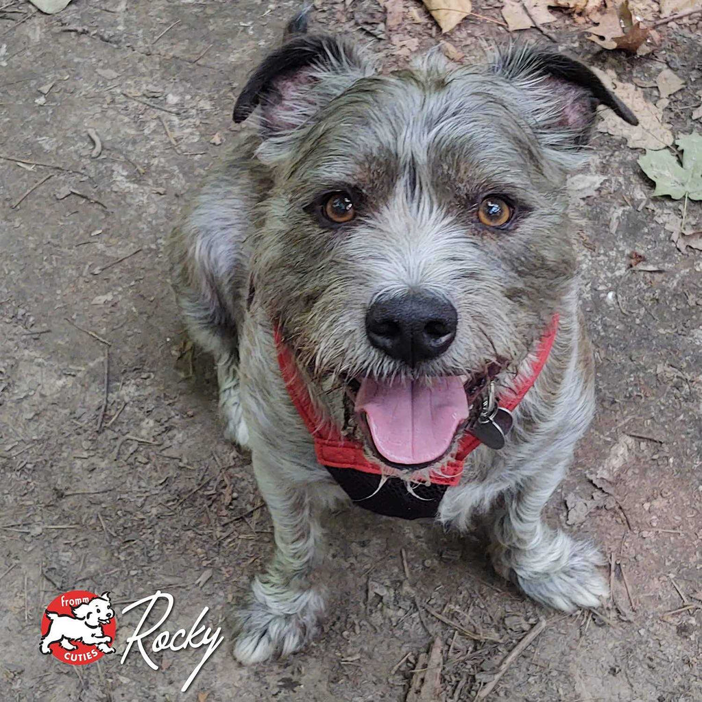Duck Dog Food E580
