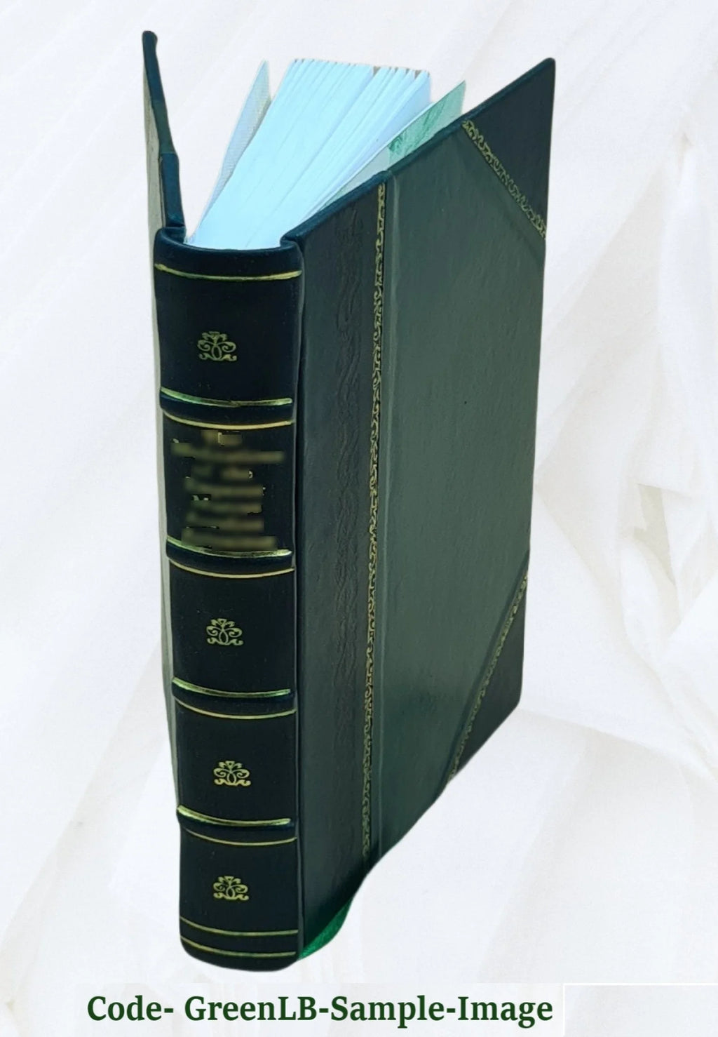 Leather Bound Book I858