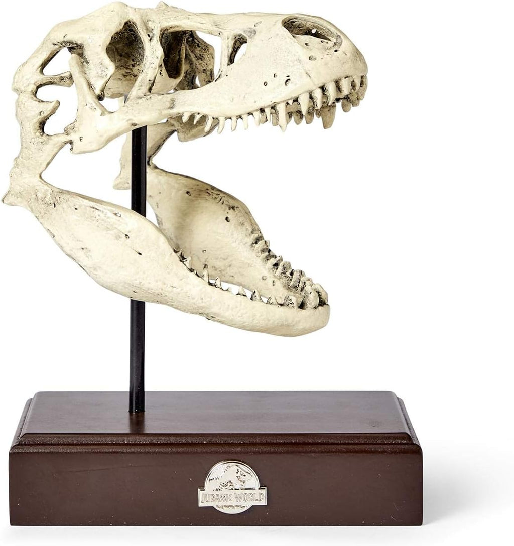 Tyrannosaurus Rex Skull Resin Replica Statue W8028