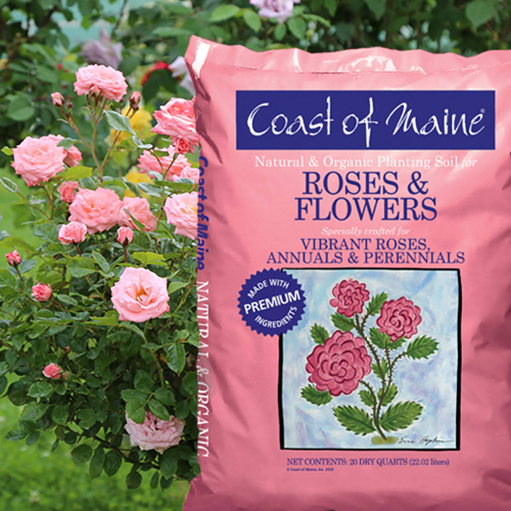 20 Quart Bag (4 Pack) Organic Potting Soil D162