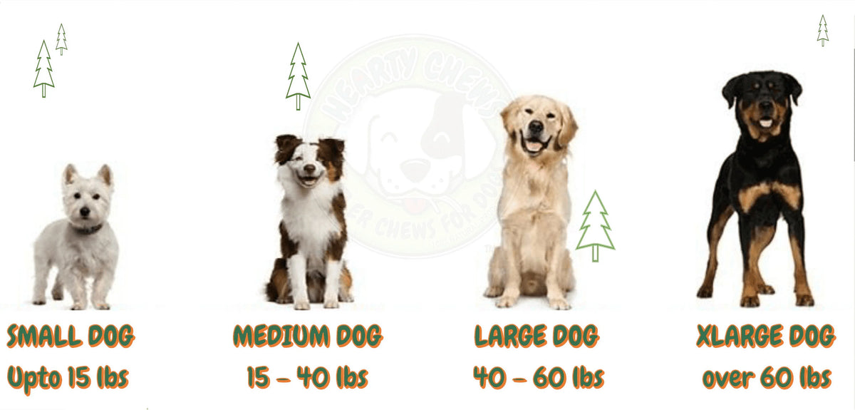 Natural Deer Antler Dog Bone 1 LB Bag V4047