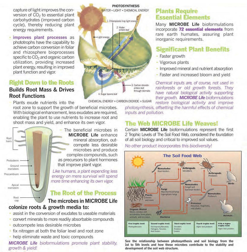 Photosynthesis Plus Pint P548