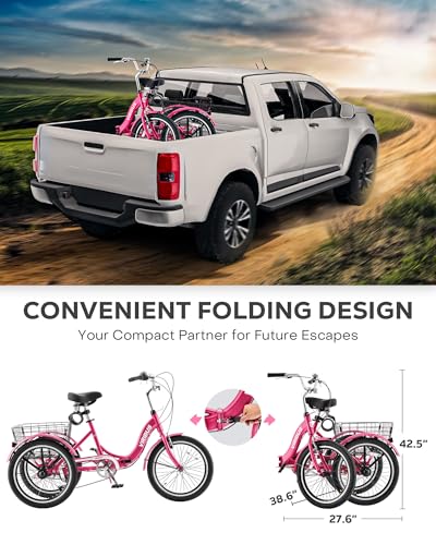 20 inch 7 Speed Folding Adult Tricycle with Dual Chain E3144
