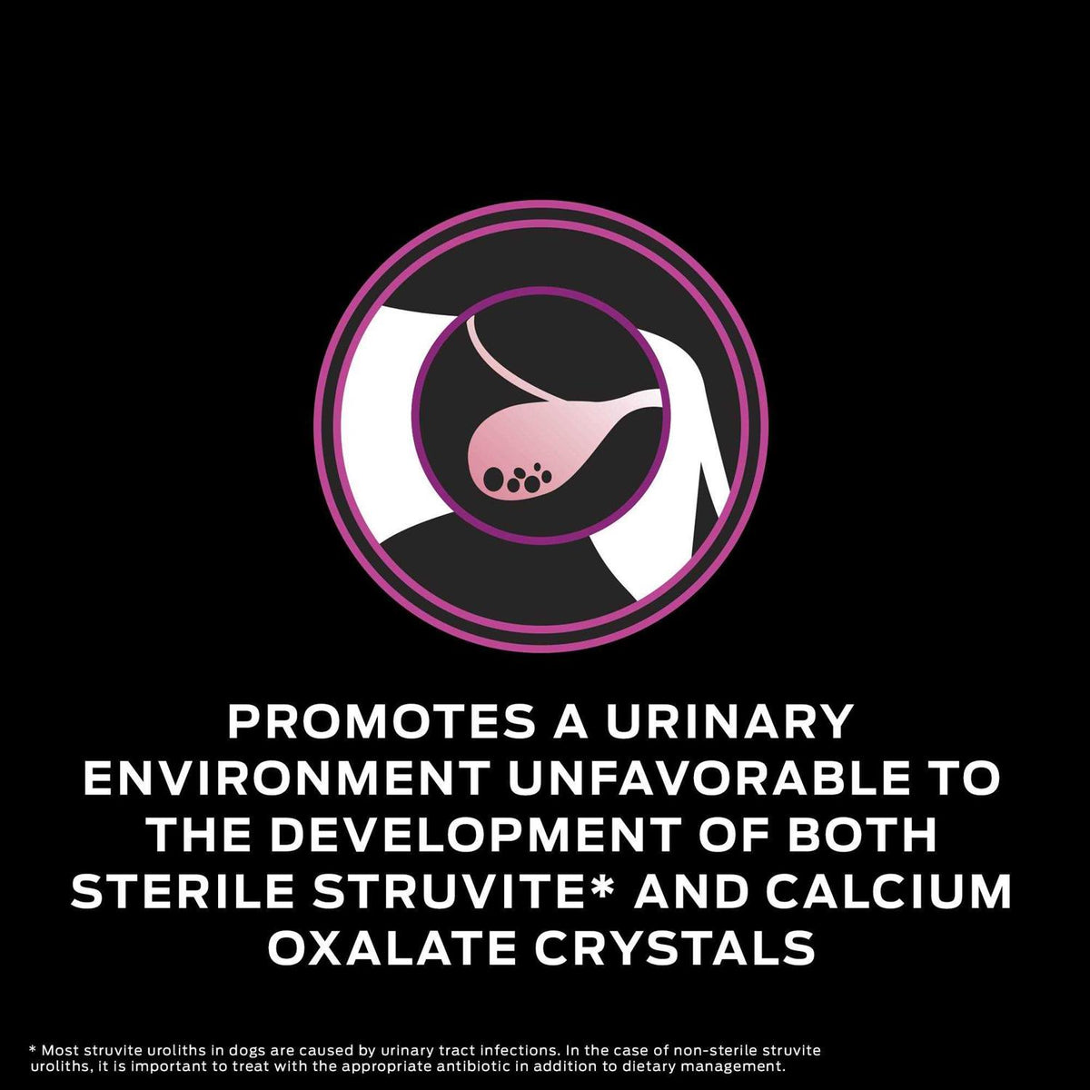 Urinary Dry Dog Food X2233