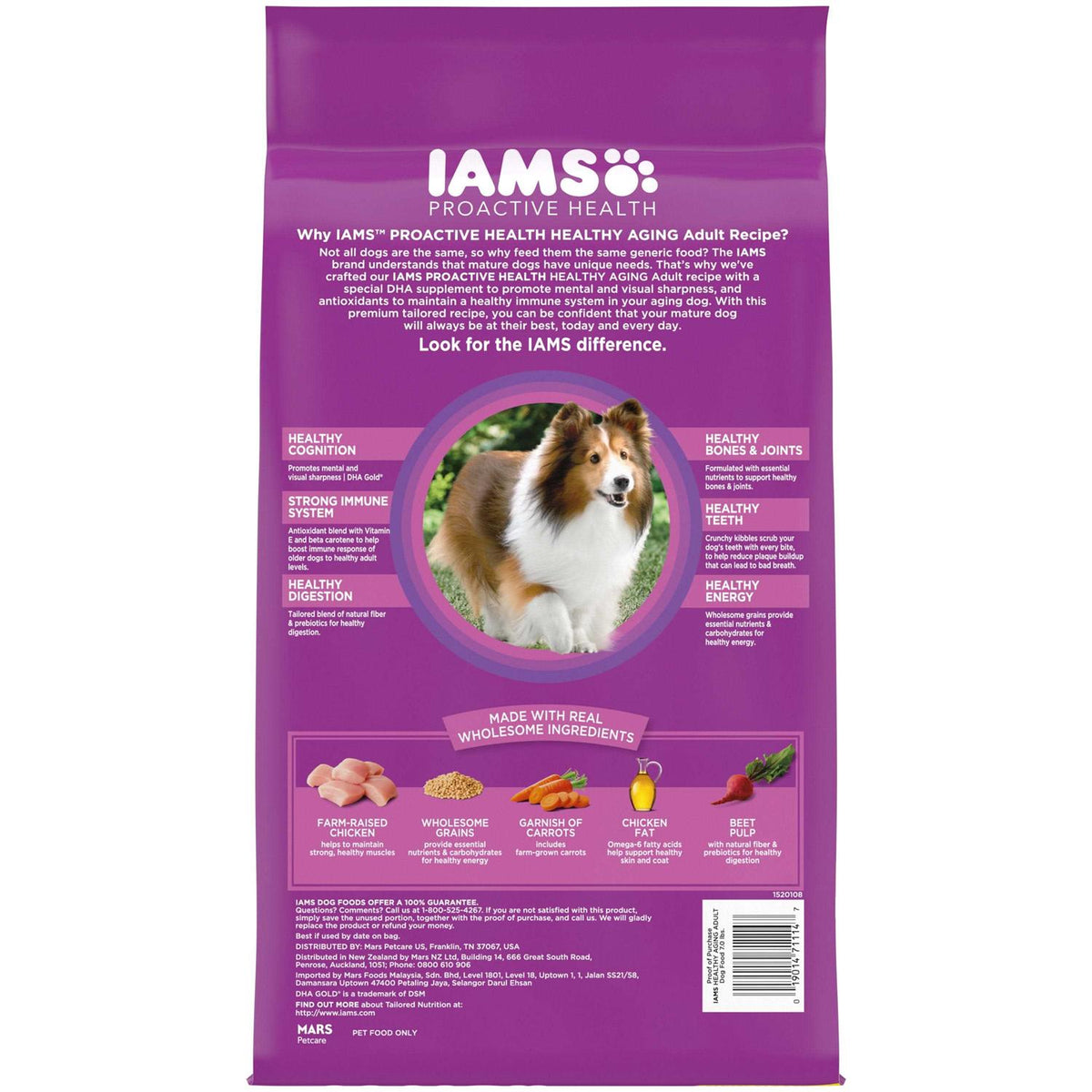 Dry Dog Food B8668