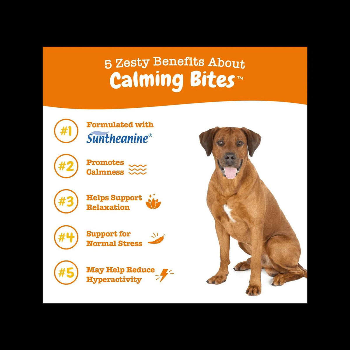 Calming Bites Soft Chews for Dogs O303