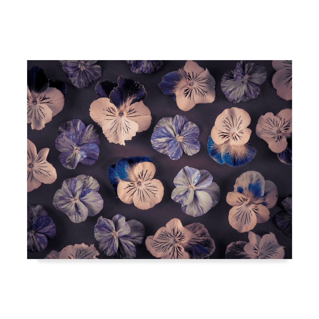 Pink and Blue Pansies Q1456