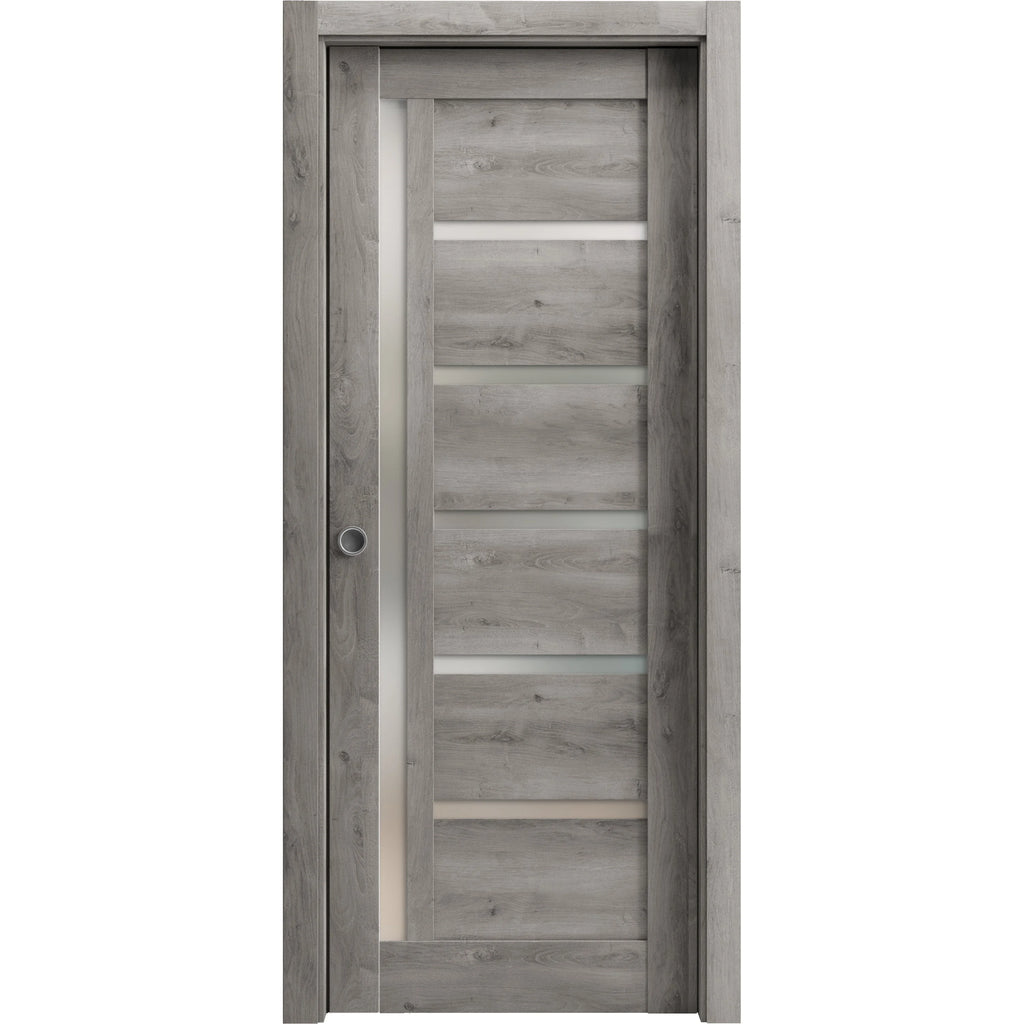 Sliding French Pocket Door with Frosted Glass B352