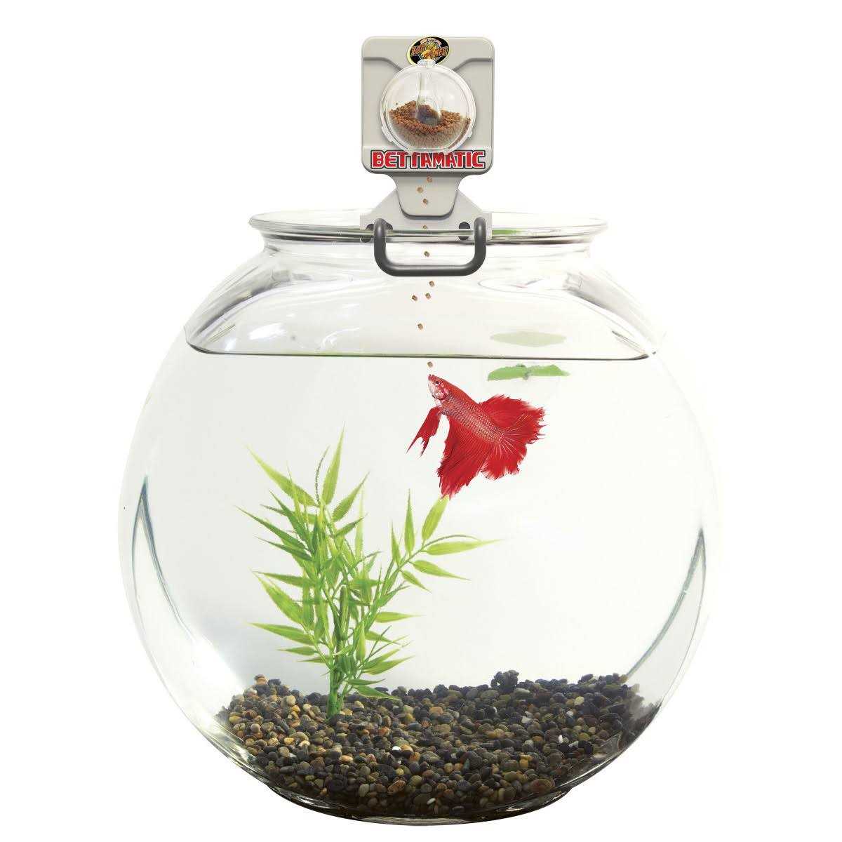 Automatic Daily Betta Feeder O2067