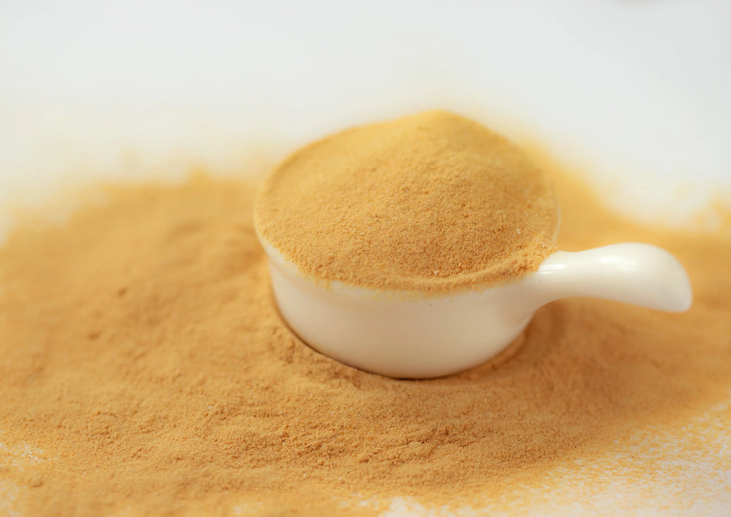 Papaya Powder 1.5 Pounds Z1109