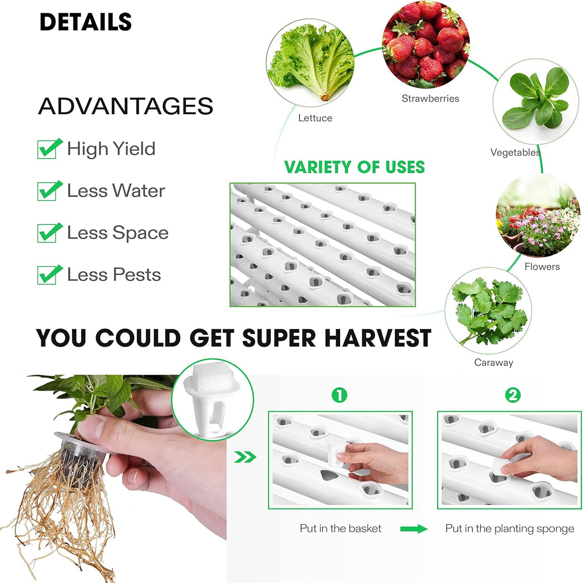 5-Gallon Deep Water Culture Hydroponics Grow System S91811