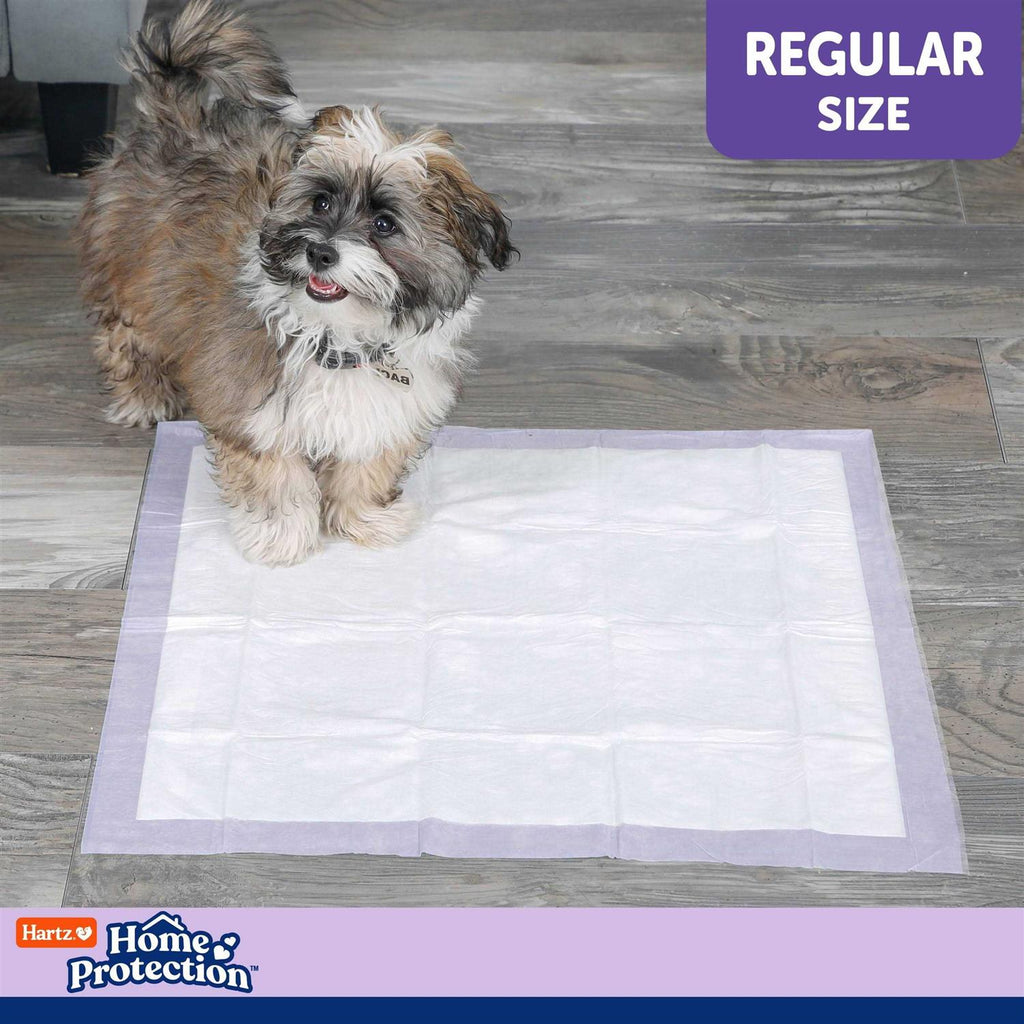 Lavender Scent Odor Eliminating Dog Pads P714715