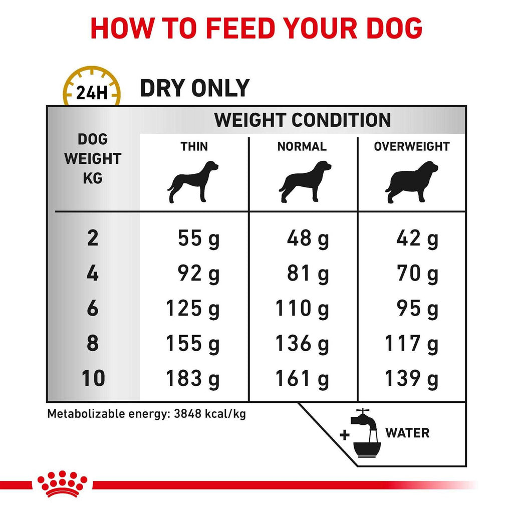Small Dog Food Q540372