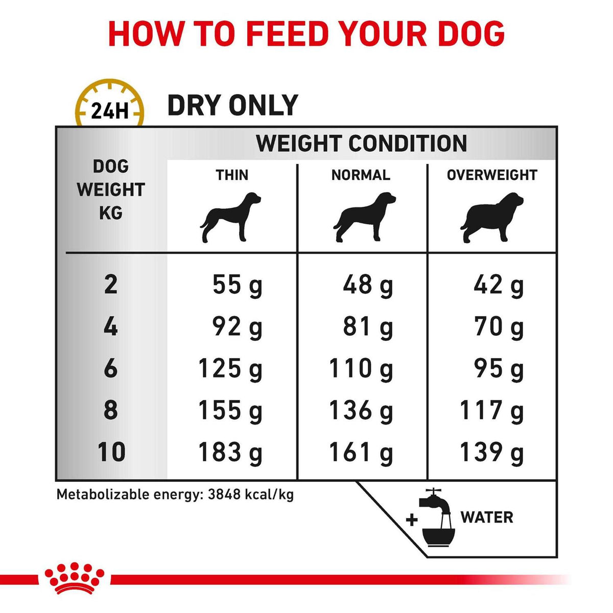 Small Dog Food Q540372
