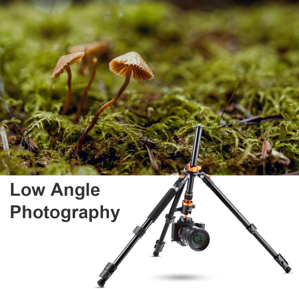 62 inch Aluminum DSLR Camera Tripod with Ball Head S21575