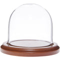 3" x 3" Glass Display Dome Cloche with Walnut Base J250