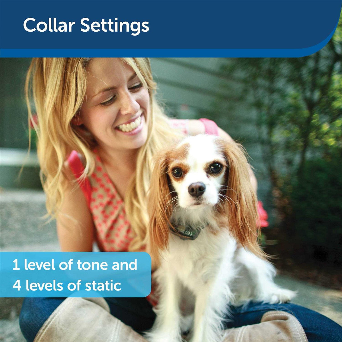 Dog In-Ground Fence Collar Receiver J173935