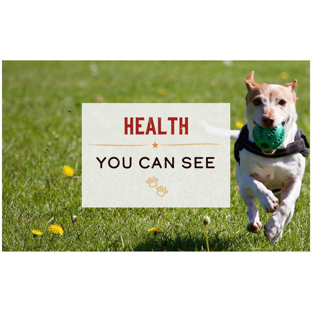 Limited Ingredient Diet Lamb Recipe Canned Dog Food K212788