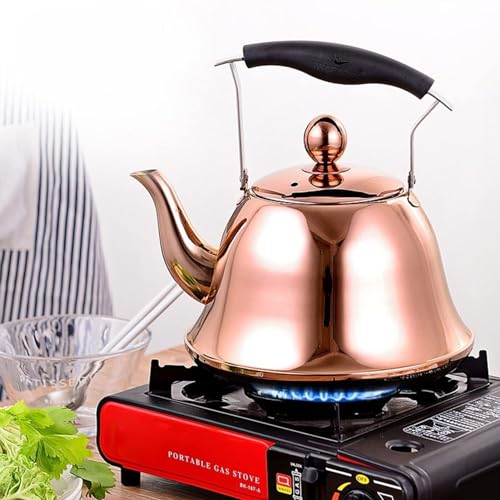 Stainless Steel Whistling Tea Kettle M98986