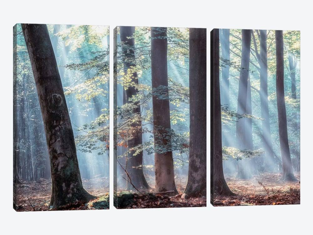 Spellbound Canvas Art Prints U4633