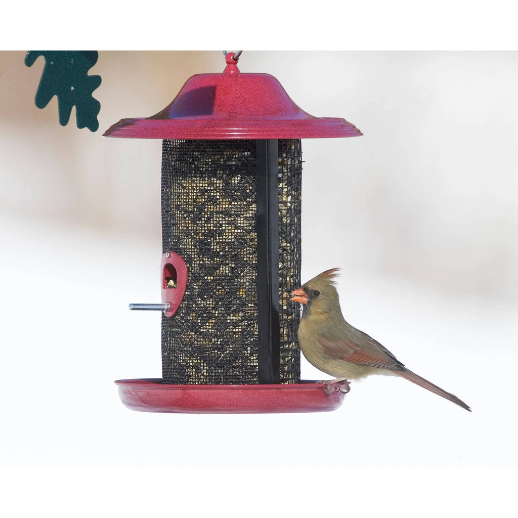 Red Twin Chamber Bird Feeder O331