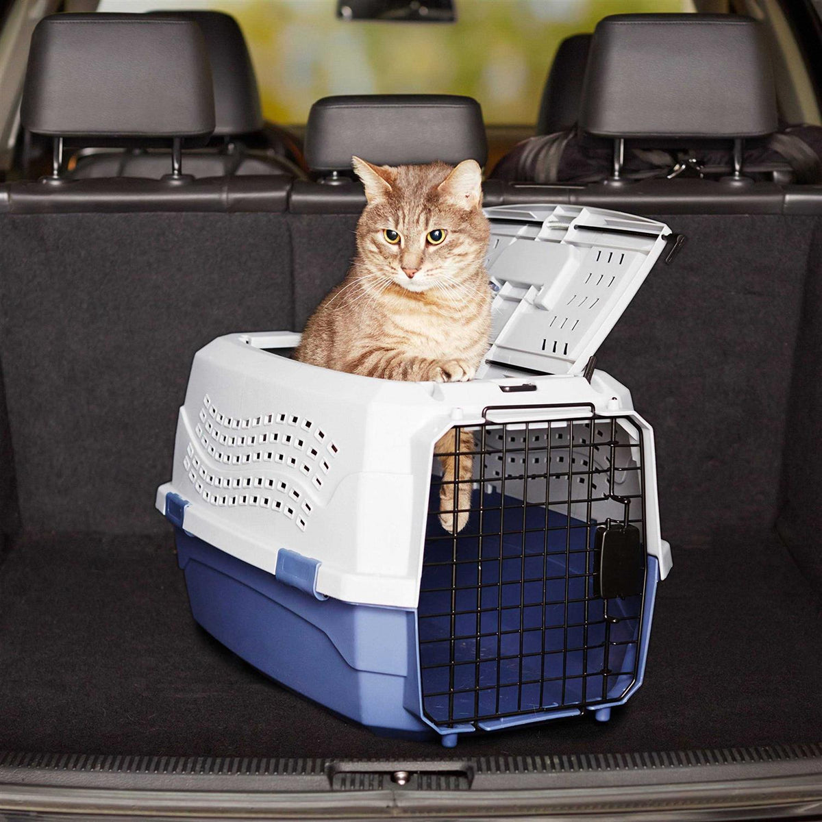 Two-Door Top-Load Hard-Sided Pet Travel Carrier G775