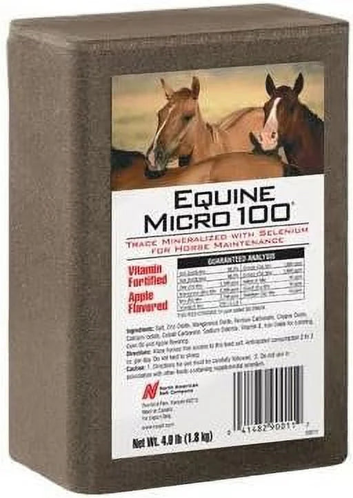 Equine Brick for Horses, 4-Lb. N598698