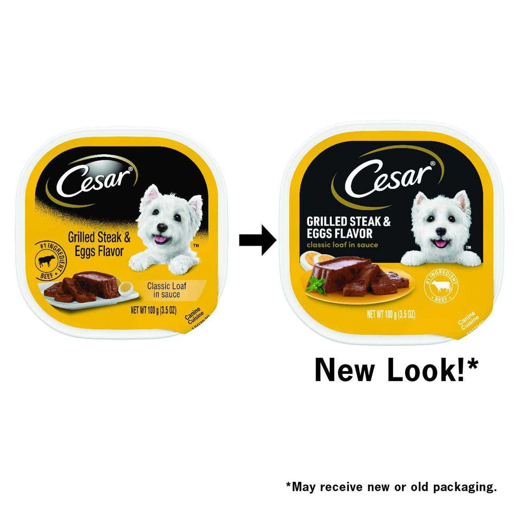Grilled Dog Food O26128