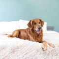 Throw Blanket J5412