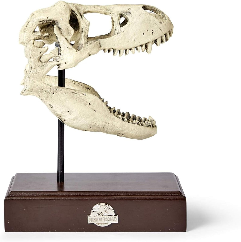 Tyrannosaurus Rex Skull Resin Replica Statue W8028