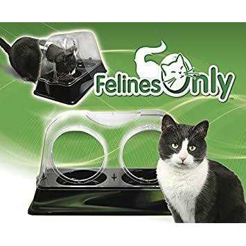 Veterinarian Designed Cat Feeding Bowl P2838