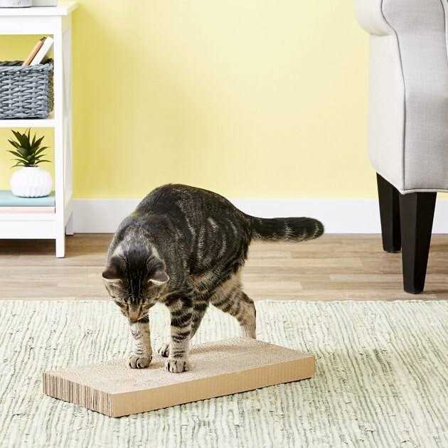 Cat Scratcher W555
