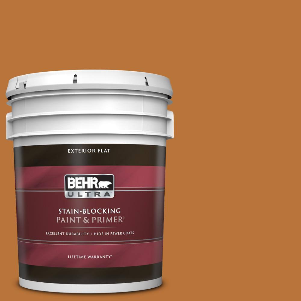 Flat Exterior Paint u0026 Primer R239896