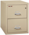 2 Drawer Letter Vertical Fireproof File Cabinet A639290