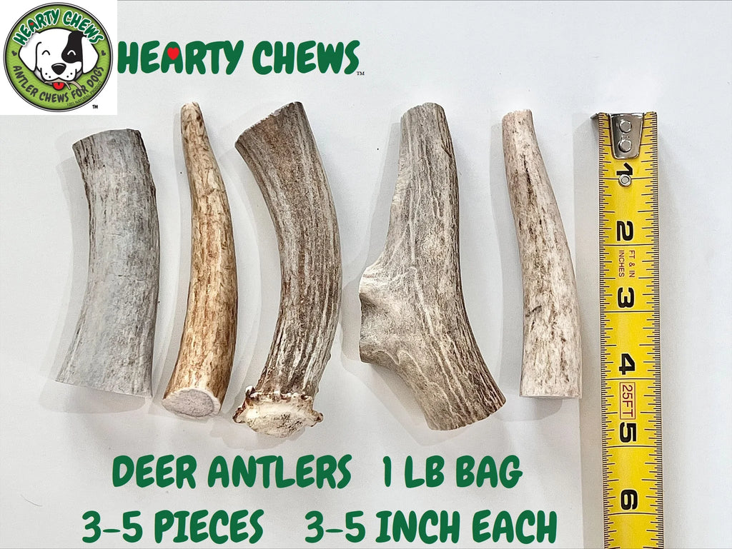 Natural Deer Antler Dog Bone 1 LB Bag V4047