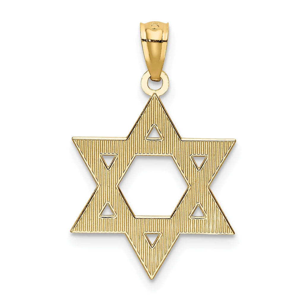 14K Yellow Gold Diamond-Cut Star Of David Pendant Charm with 10K Yellow Gold Rope Chain Necklace 16'' G9340