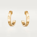 Earrings H90050