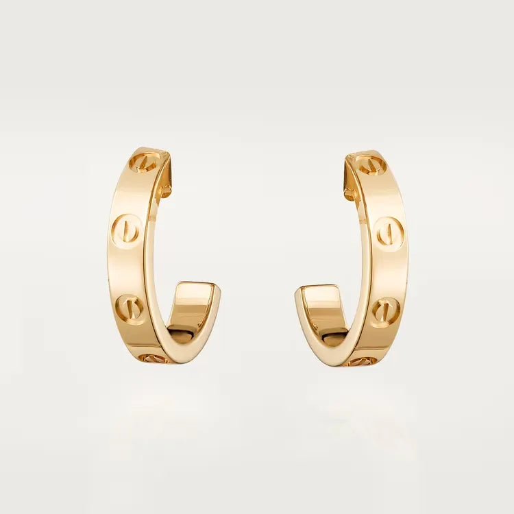 Earrings H90050