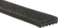 Serpentine Belt T596