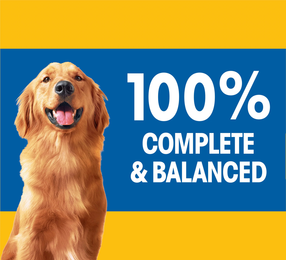 (12 Pack) 13.2 oz. Canned Wet Dog Food N173