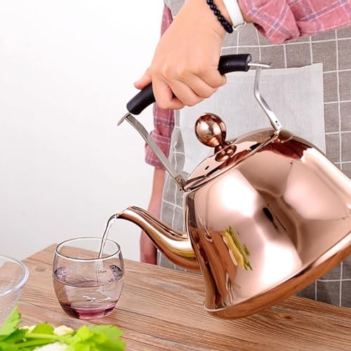 Stainless Steel Whistling Tea Kettle M98986