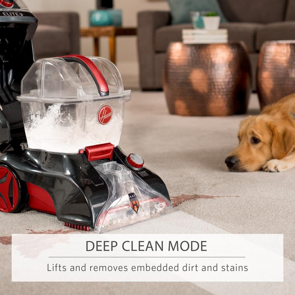 Upright Carpet Cleaner Q575