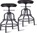 Adjustable Swivel Metal Bar Stool Set of 2 E6956