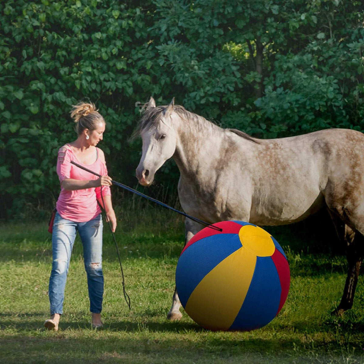 Herding Ball for Dogs Horse Ball & Ball Cover 25 Ball for Horses Large with Hand Pump V23509