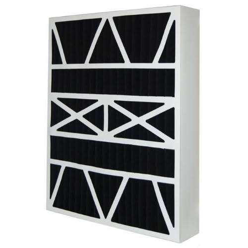 20x25x5 Carbon Odor Filter Pack of 2 X97978